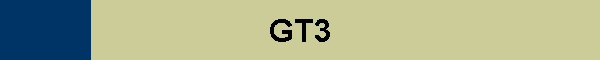GT3